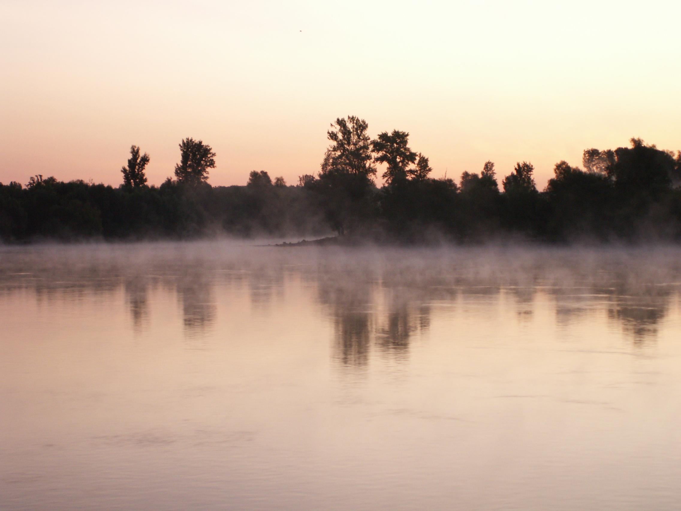 Morgennebel