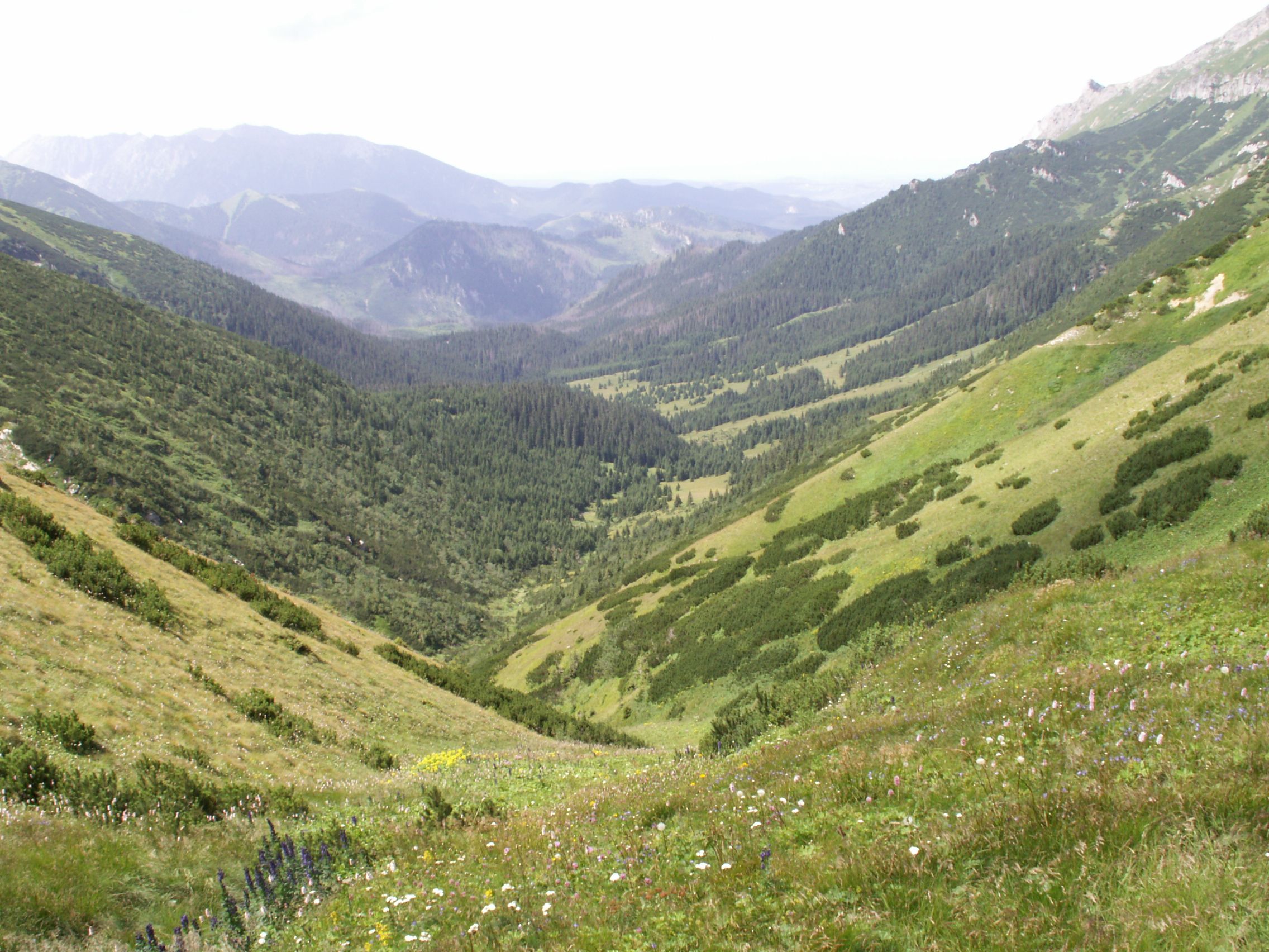 Blick ins Tal nach Jarovina