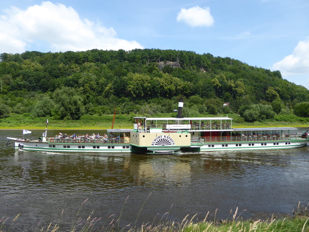 Elbdampfer