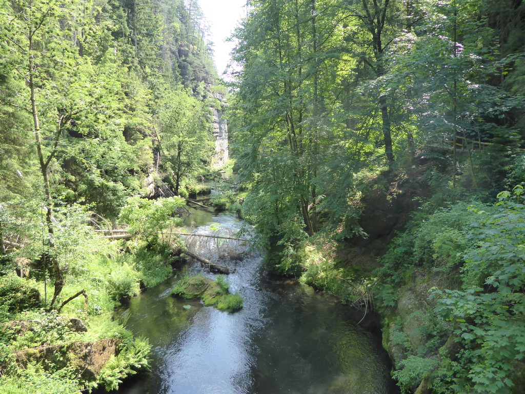 Wilde Klamm