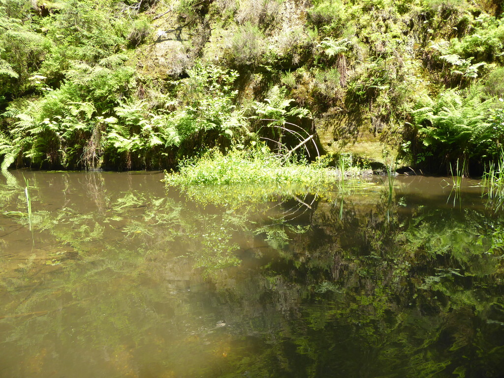 Natur pur